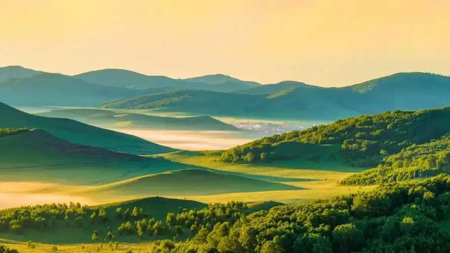 清晨绿色草原风景壁纸,自然风景-可爱美图