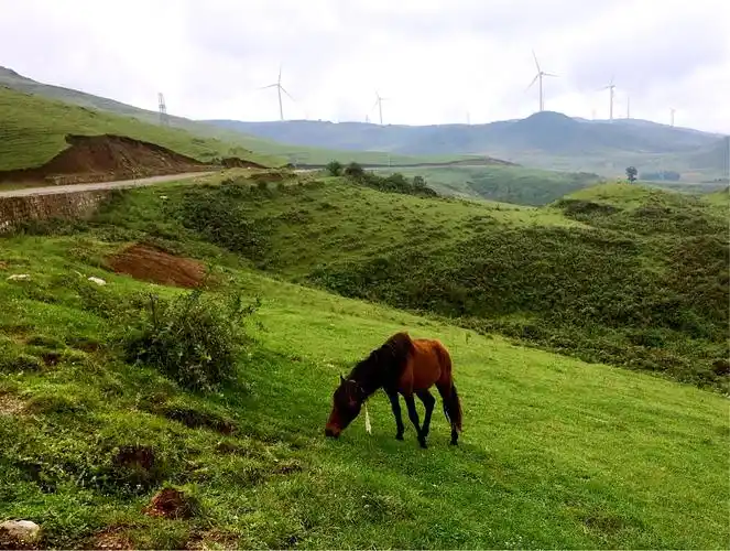 算是个景点吧 离普者黑几十公里的 舍得村 2500 海拔的高原草甸