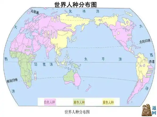 世界人种分布图