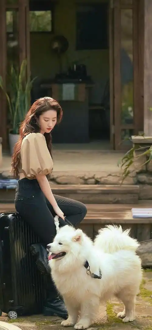 刘亦菲去有风的地方壁纸