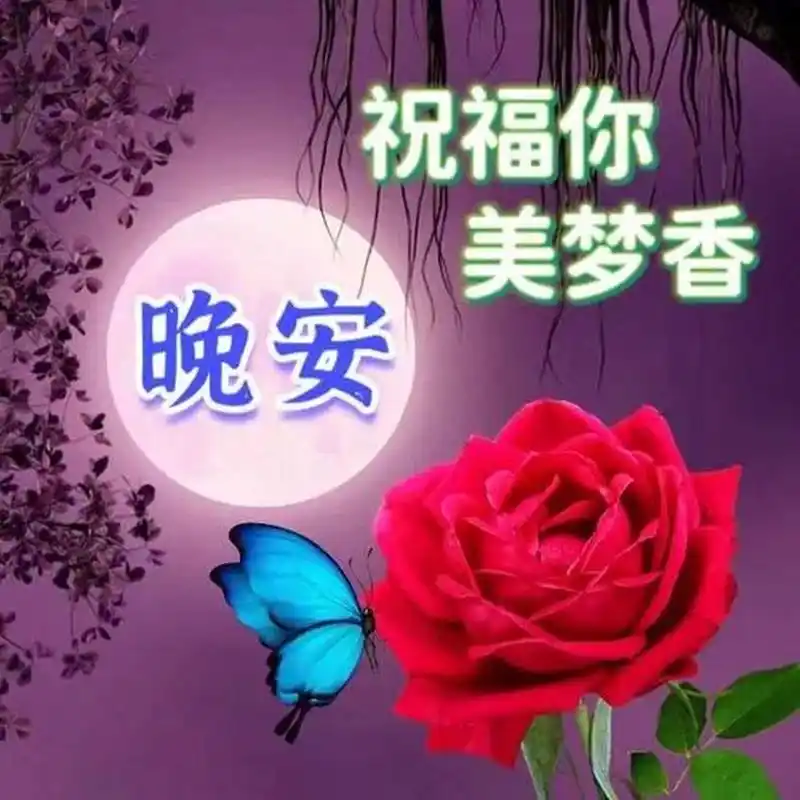 晚上好祝福图片带字温馨,简单问候,祝福无限 晚上好,遥寄相思与日月