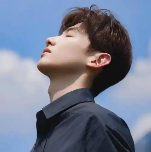 微信头像白敬亭