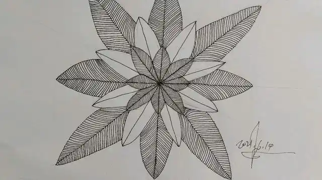 花卉的直线绘画教程 举报/反馈