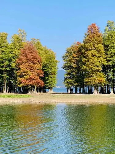 2020年宁波之山水古村镇