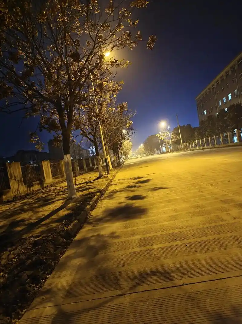 空无一人的街道,人啊,总有沮丧且无处宣泄的时候#路灯下的影子 - 抖音