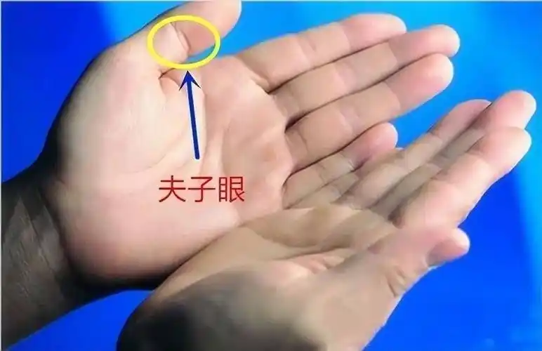 当然,也有的地方会称为"佛眼纹"或者"凤眼纹"等等,总之,这个纹路的