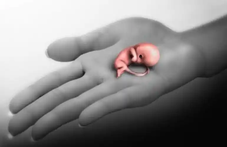 仅60天孕周的胎儿,药流后完整引出的模样看哭网友:真的太揪心了