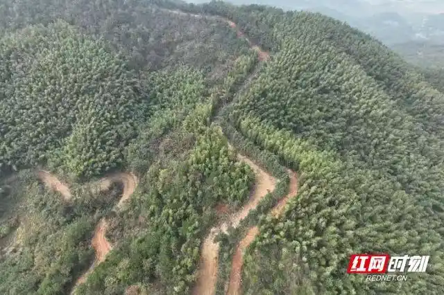 安仁县洋际乡:"防火隔离带"上炼功夫