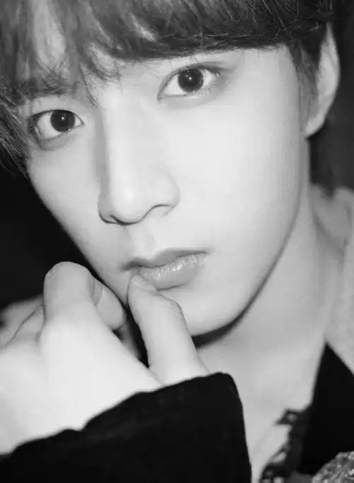 刘耀文黑白氛围感大片##刘耀文的项链好大