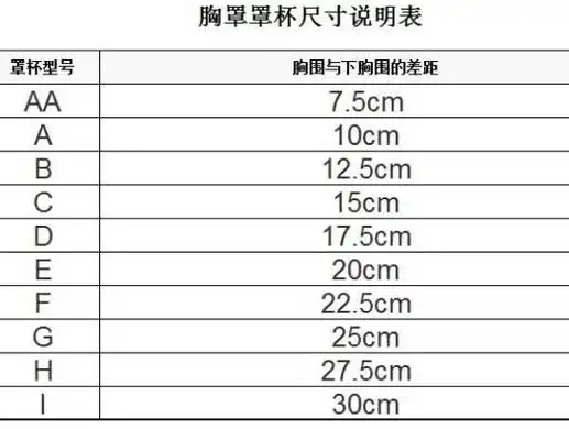 abcd罩杯分别是多大徒手判断女生胸围a到d触摸体验