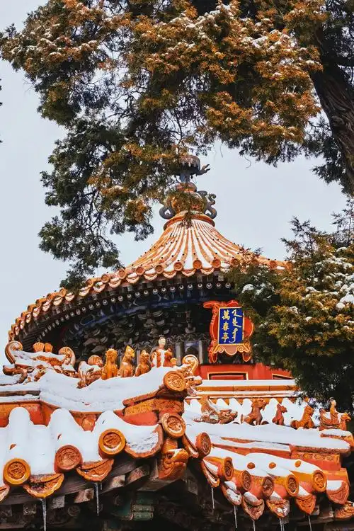 立冬故宫雪