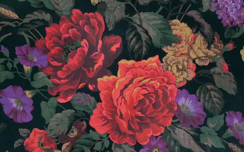 植物花卉唯美图片桌面壁纸