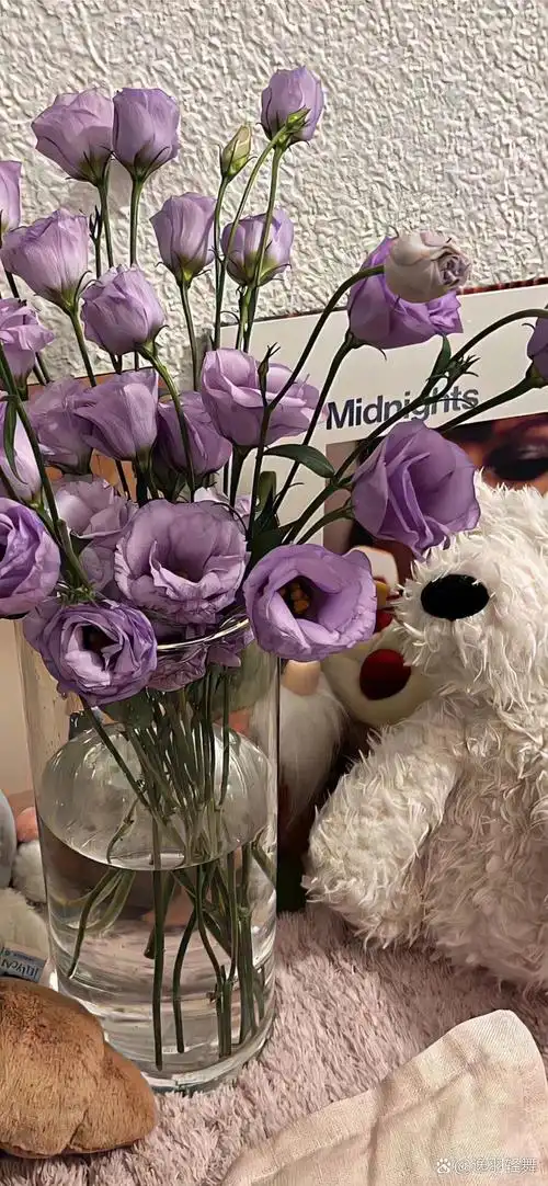 ins风少女心壁纸!