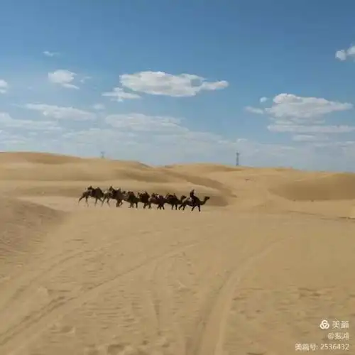 微信里的"头像"美呆了