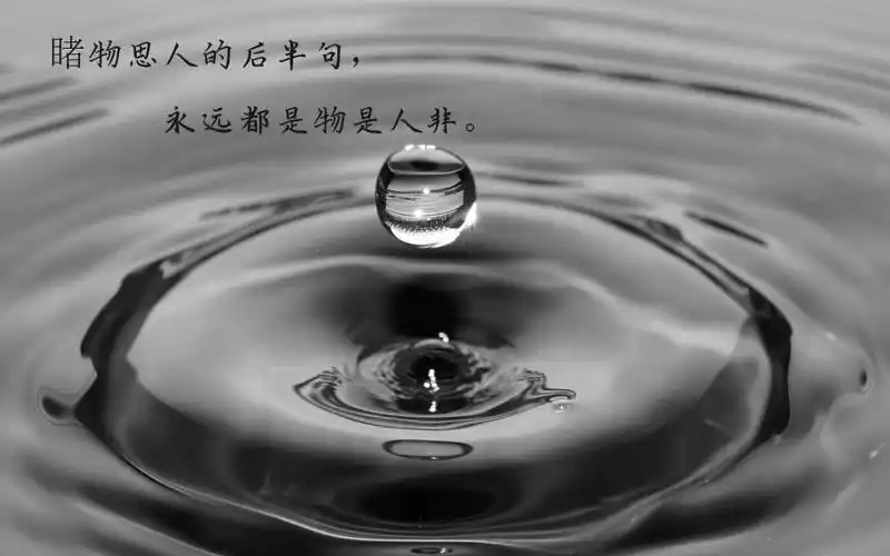 伤感与失望的说说配图