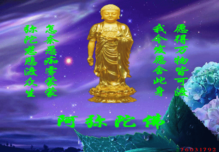 1024_711gif 动态图 动图