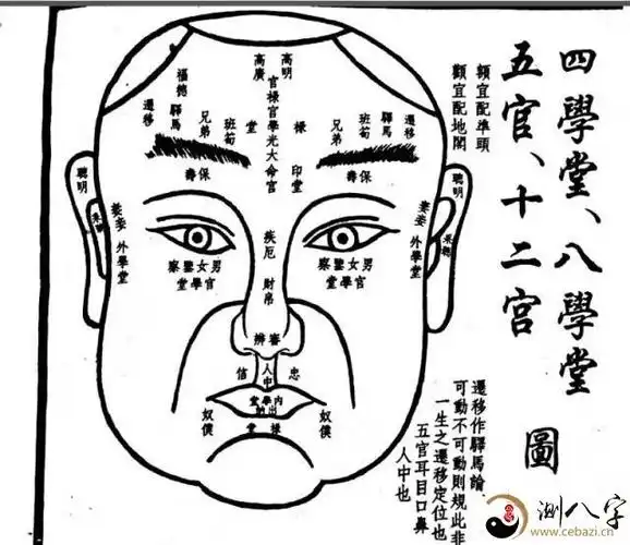 面相基本图,相术关键知识要点!