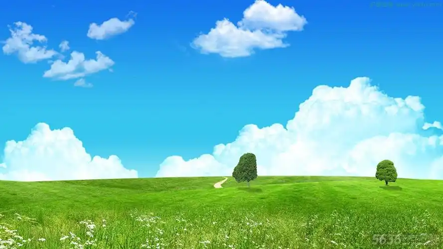 共享一些能够保护眼睛的网吧电脑桌面壁纸 - 5636网吧资讯