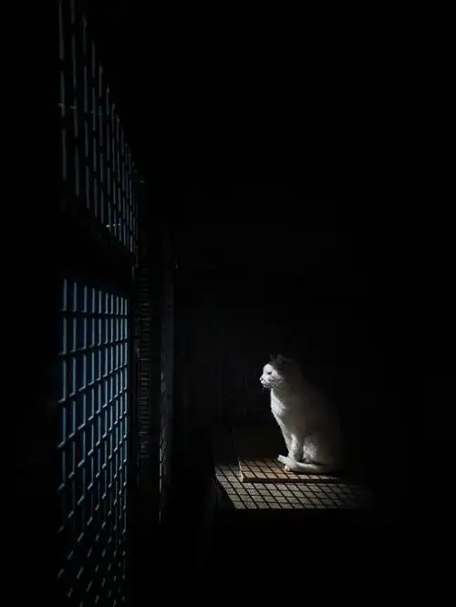 孤独照片当代青年孤独时刻大赏