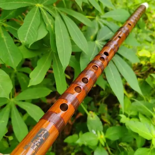 凡乐臻品品大笛子专业考级演奏苦竹可看三哥笛子