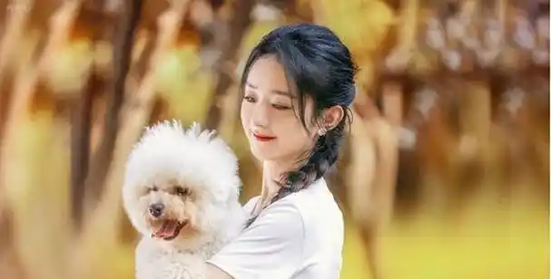 赵丽颖被曝怀孕细节,她回应了!网友:没想到她也会这样?