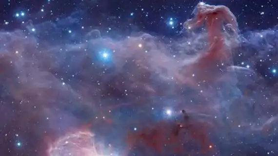 马头星云位于哪个星座马头星云具体情况揭秘