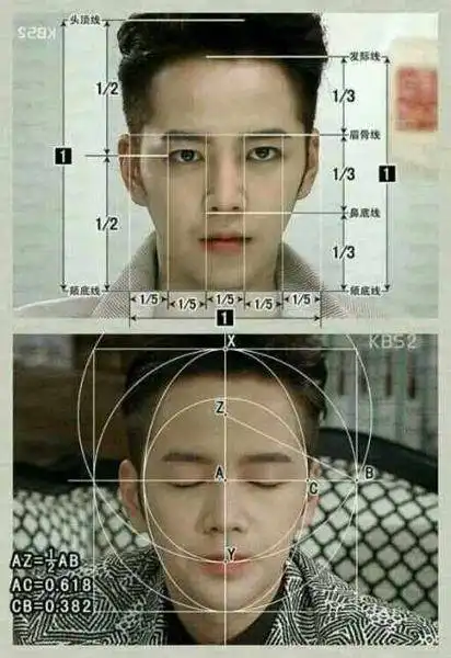 张根硕脸是黄金比例吗