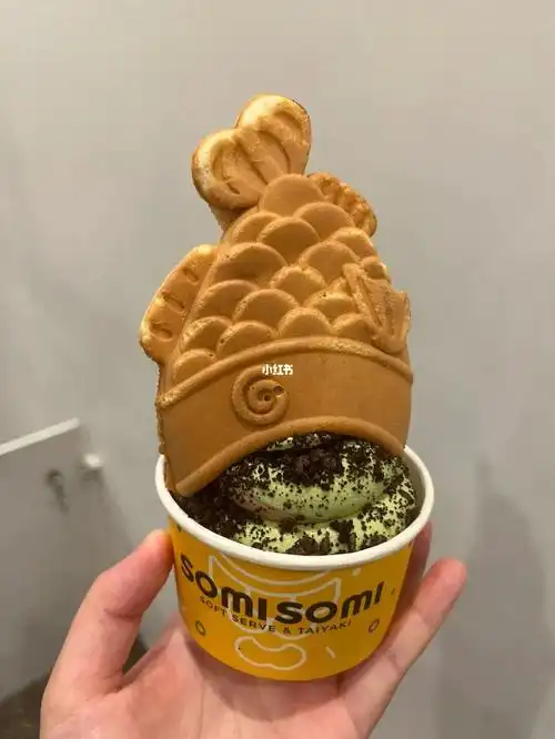 鲷鱼烧冰淇淋two in one!