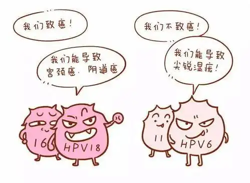 人乳头瘤病毒53型属于高危性hpv,长期感染可能引起女性宫颈,外阴或