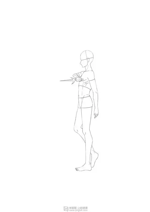 侧面的人体结构和细化