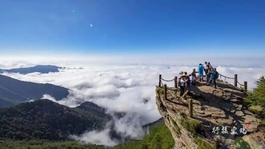 太白山"乒"出真我_景点_海拔_杜鹃