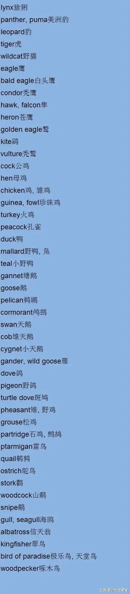 【动物英语词汇大全】超级详细,收了!
