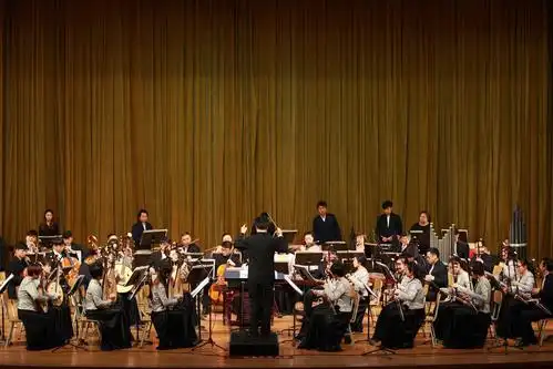 高雅艺术|听说,你今晚也来听音乐会啦?(多图预警!