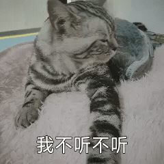 萌宠猫星人我不听我不听你走开搞怪呆萌gif动图_动态图_表情包下载