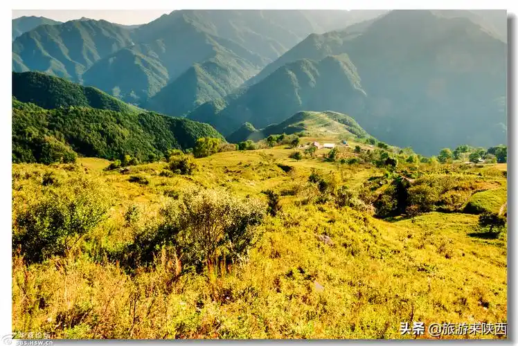距西安最近,最美的高山草甸,流峪寺草甸!_手机搜狐网