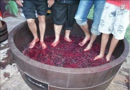 这种食物是用脚踩出来的,你都知道吗,看完瞬间崩溃_新浪看点