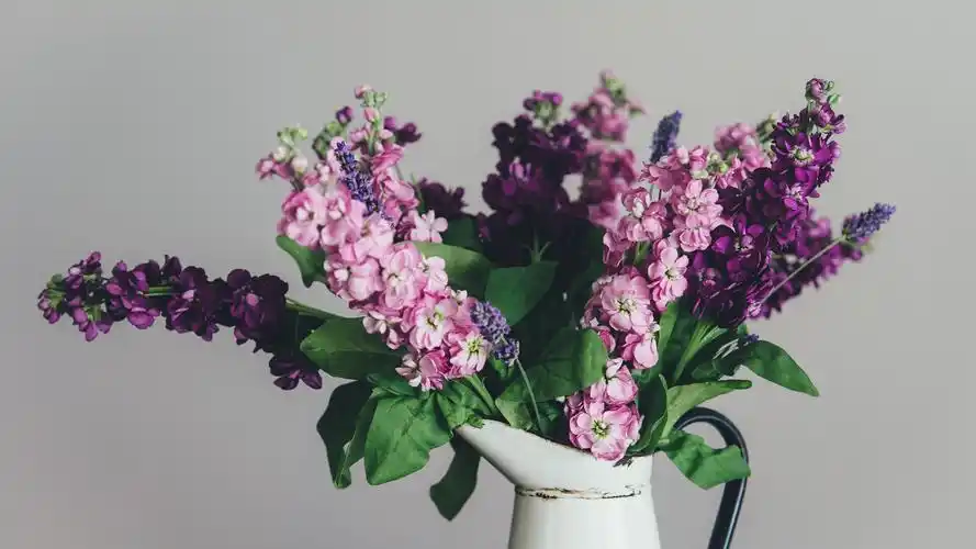 简约淡雅壁纸壁纸是一款电脑壁纸,属于小清新分类