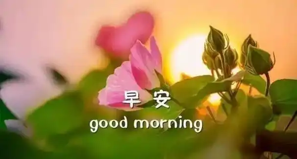 2021特漂亮的早安图片祝福语录 大家早晨好图片唯美带字_非主流个性网