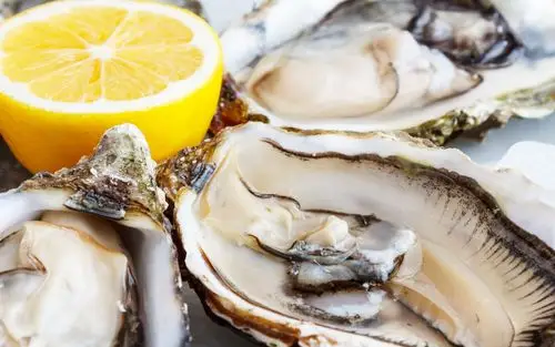 海鲜生蚝牡蛎图片,高清图片,电脑桌面-壁纸族