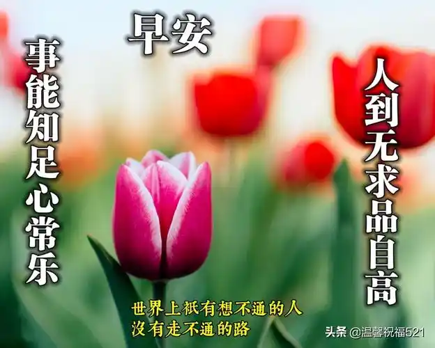 微商早安图片2021新图片早上好唯美暖心问候语