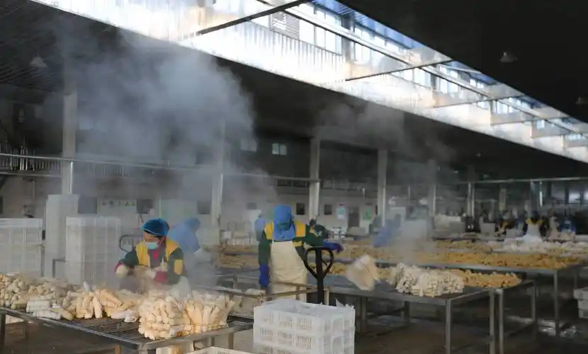 老豆腐新科技绿色食品保供应