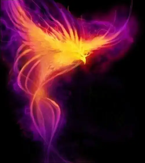 凤凰头像图片好看的凤凰头像图片大全