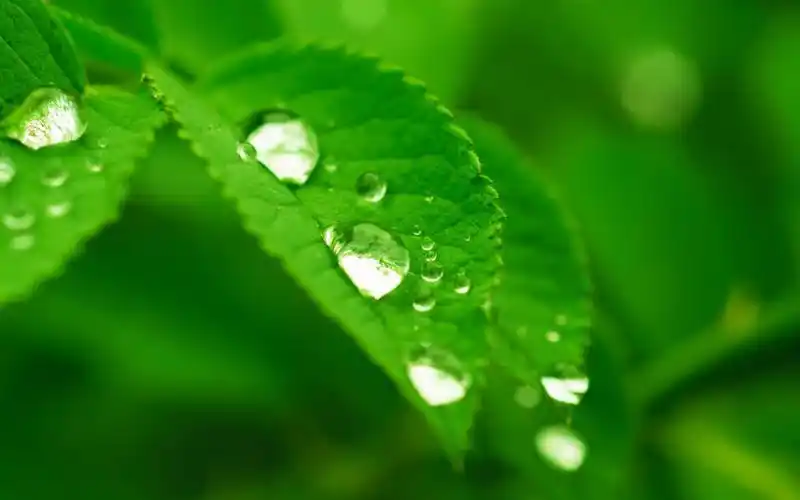 原图你的电脑分辨率(1600x1600)→生成壁纸显示:√欣赏模式全屏模式