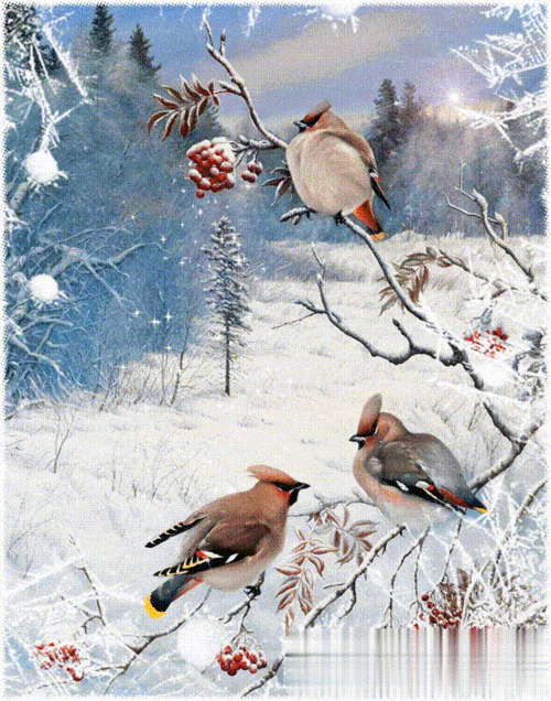 鸟语花香春来俏