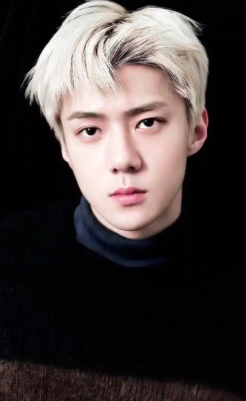 金发吴世勋考古篇多图流量慎入