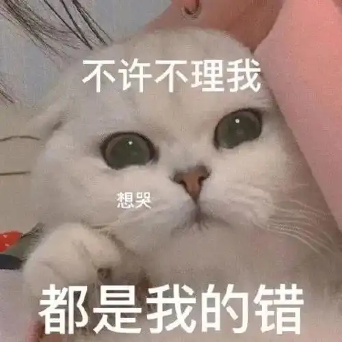 喵咪表情包分享理理我