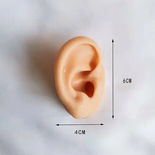 模型硅胶耳朵软仿真人耳穴针灸穿孔耳机耳钉其他橡胶制品