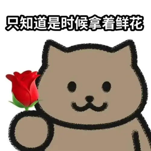 锦鲤表情包流行只是广东人的自high吗