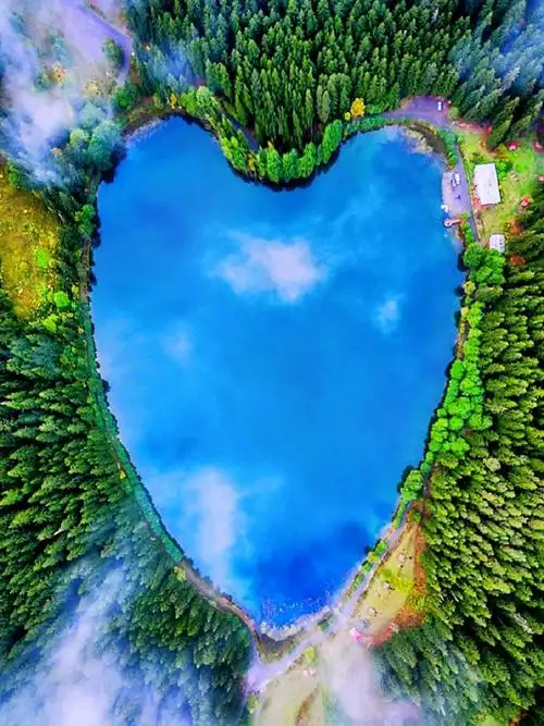 唯美意境 #盛夏美好时光 #收藏夏天的绿色与美好