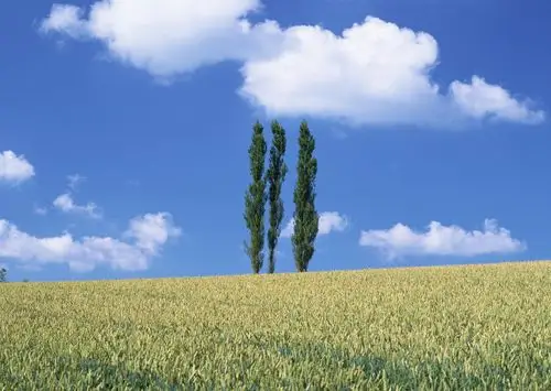 日本北海道唯美风光高清桌面壁纸